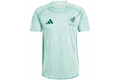 adidas Mexico 2024 Away Authentic Jersey Linen Green