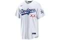 KAWS Nike MLB Stadium Los Angeles Dodgers Jersey