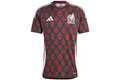 adidas Mexico 24 Home Jersey Multicolor