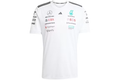 adidas Mercedes AMG Petronas Formula 1 Team Driver II Jersey