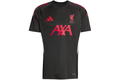 adidas Liverpool FC Tiro 25 Competition Jersey Black
